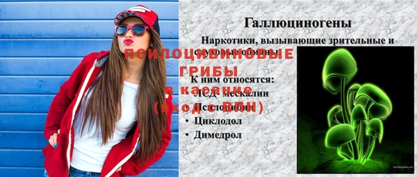 тгк Алзамай