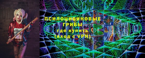 прущие грибы Алексин