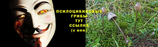 тгк Алзамай